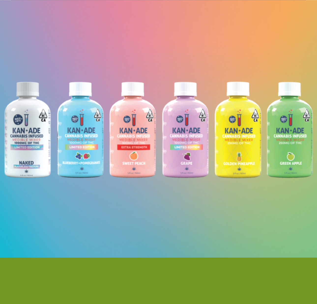 RNBW PLUG PLAY Battery Accessories : PLUGPLAY